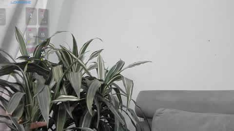 Snapshot of carolina_t chatting on January 22, 12:59 am carolina_t online show from January 22, 12:59 am