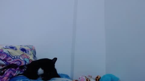 carolina_zabala_19 online show from October 11, 5:37 pm