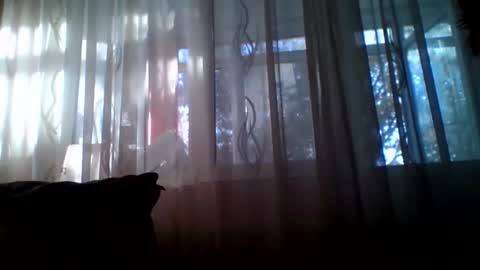 Casey online show from October 24, 6:31 am