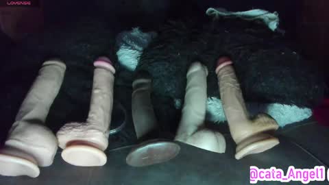 Cata Angel online show from April 21, 2:51 am