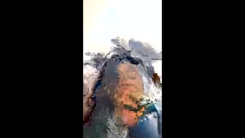 cataleya12372205 online show from February 16, 3:06 am