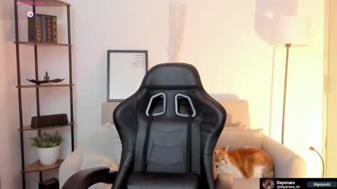 Alice online show from February 17, 11:37 pm