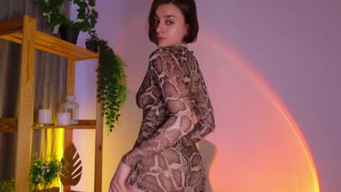  Celine  online show from April 26, 5:38 am