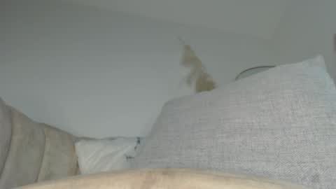 Snapshot of charlottehorny1 chatting on September 13, 3:14 am charlottehorny1 online show from September 13, 3:14 am