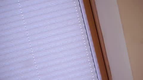 Sofia online show from April 21, 1:42 am