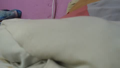 Cheila online show from June 29, 1:33 pm