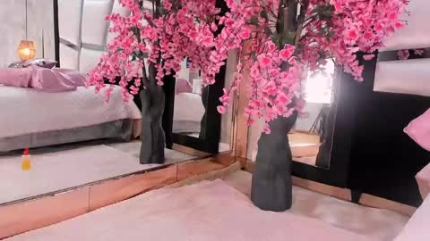       online show from April 22, 5:59 am