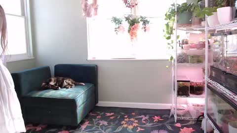 ANR Mommy online show from February 19, 5:56 pm