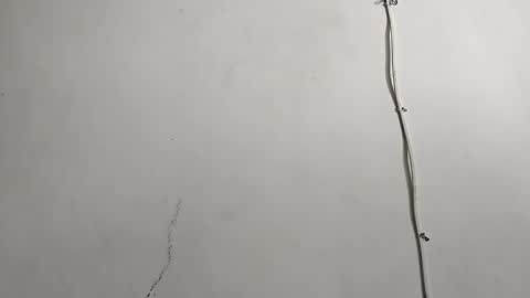 CreamyCocoBabe online show from April 29, 8:03 pm