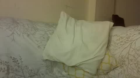 creamyy_pussy online show from February 18, 7:13 pm