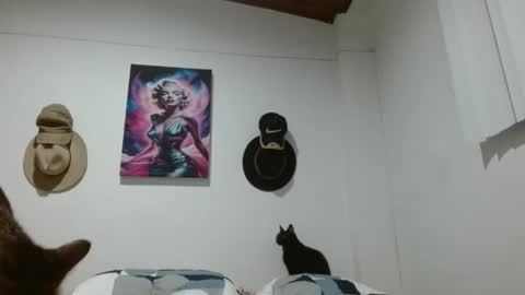 Crystal Blaze online show from March 23, 9:15 am