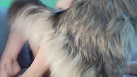 Alexia online show from February 5, 6:38 am