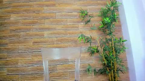 cupcake_izzy online show from December 5, 6:02 am