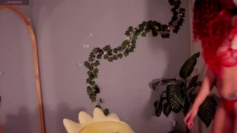 Curly915e online show from January 18, 12:51 am