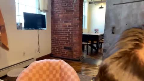 Snapshot of cuteballoons chatting on January 17, 3:53 pm CuteBalloons online show from January 17, 3:53 pm