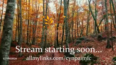 Cynpai online show from November 18, 5:08 am