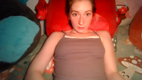 Snapshot of daddysdollhouse chatting on December 3, 5:30 am Saoirse online show from December 3, 5:30 am