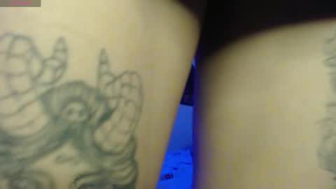 Dakko online show from April 24, 12:30 pm