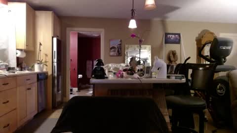 DanikaWhite69 online show from April 23, 12:29 pm