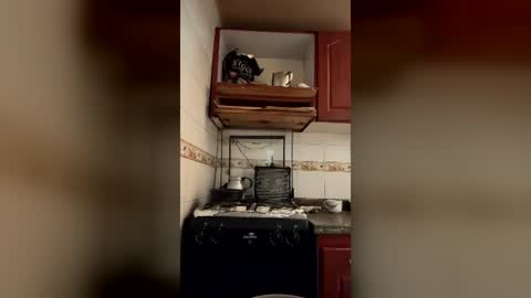 daphne877046 online show from June 29, 7:46 pm