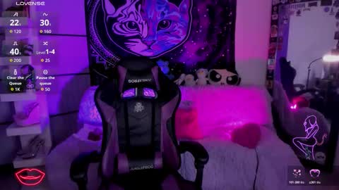 daryimiau online show from November 13, 10:53 pm