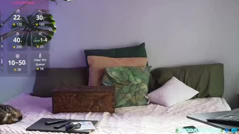 Kitty online show from April 15, 8:04 am