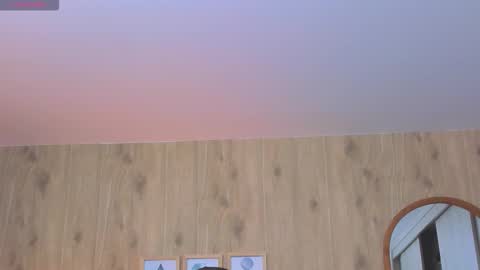 DEMY online show from November 26, 2:56 am