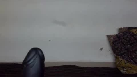 kajal online show from April 24, 12:30 pm