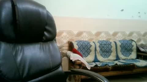 dipa2345 online show from April 24, 6:05 am