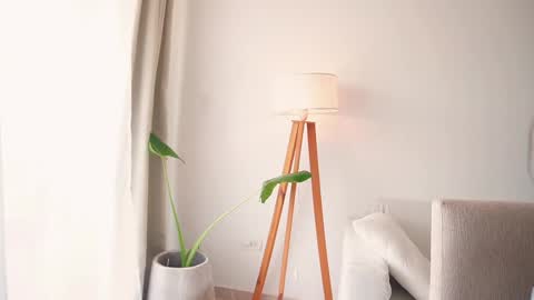 Donatella online show from April 13, 12:06 pm