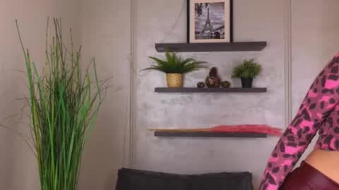 Sarah online show from January 24, 7:30 am