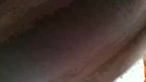 dottletop online show from February 16, 9:59 am