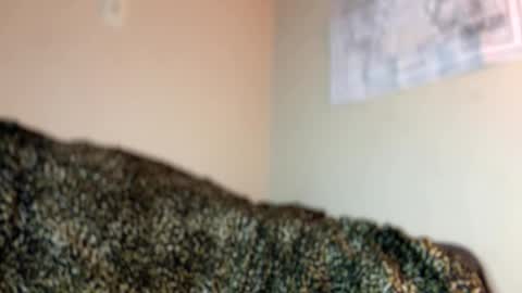 dove_love22 online show from November 28, 5:54 am