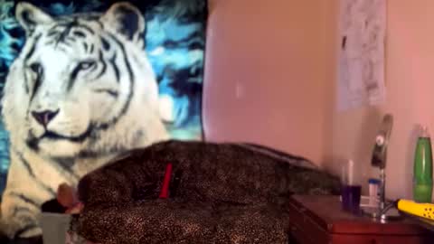 dove_love22 online show from December 18, 6:01 pm