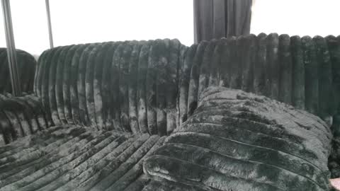 Draya Nicole online show from February 24, 1:19 pm