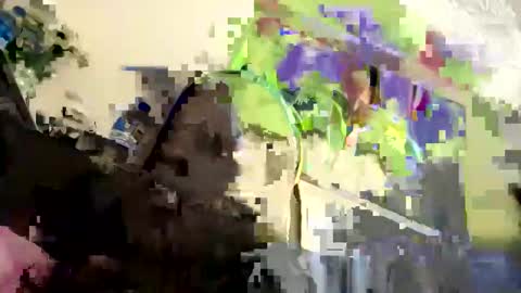 dutches_at online show from November 2, 5:00 am