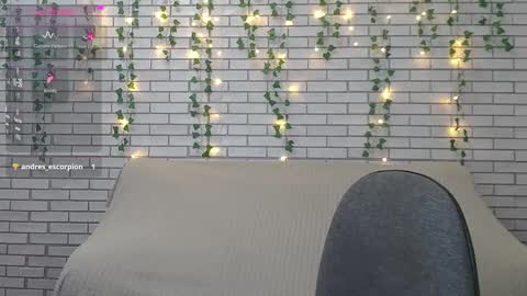 Amili online show from February 7, 6:35 am