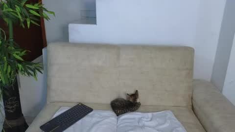 Emma Blue  modelo independiente online show from October 26, 5:58 am