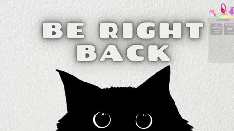   online show from April 22, 11:29 am