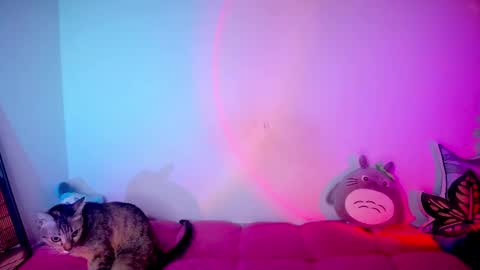 RH-NEGATIVE GREEN-EYED BAELIEN online show from October 10, 8:47 pm