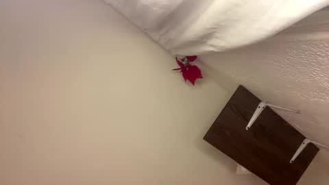 Gabs online show from April 22, 10:51 pm