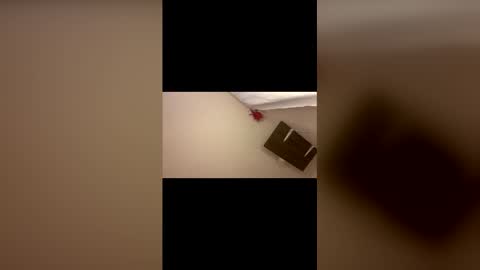 Gabs online show from April 23, 1:24 pm