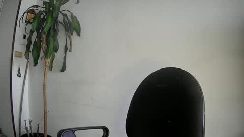 Snapshot of evacollins12 chatting on March 5, 9:39 pm evacollins12 online show from March 5, 9:39 pm