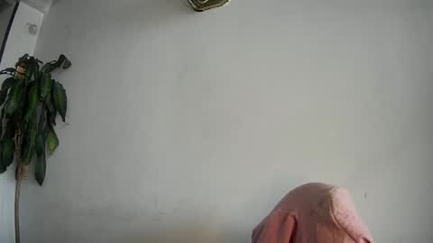 Snapshot of evacollins12 chatting on February 15, 7:50 pm evacollins12 online show from February 15, 7:50 pm