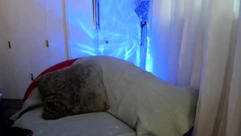 EV Parrish online show from October 24, 12:50 am