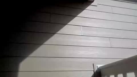 Caylenge online show from March 6, 10:05 pm