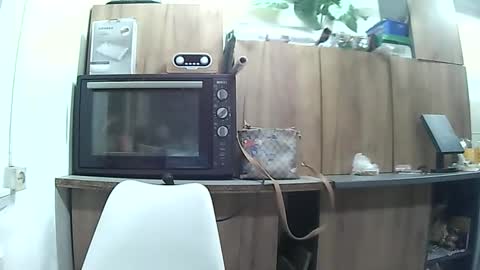 hausewife online show from May 6, 7:51 pm