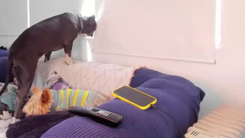 fergiecienta online show from October 27, 11:39 am