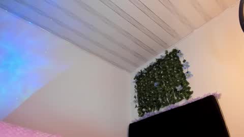 Snapshot of flylia_ chatting on February 17, 12:05 pm lia online show from February 17, 12:05 pm