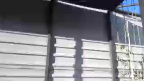 fox_red_lady7 online show from July 30, 4:08 pm